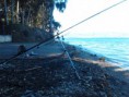 /album/scubadieropatra-/a2016-01-14-10-49-14-jpg/